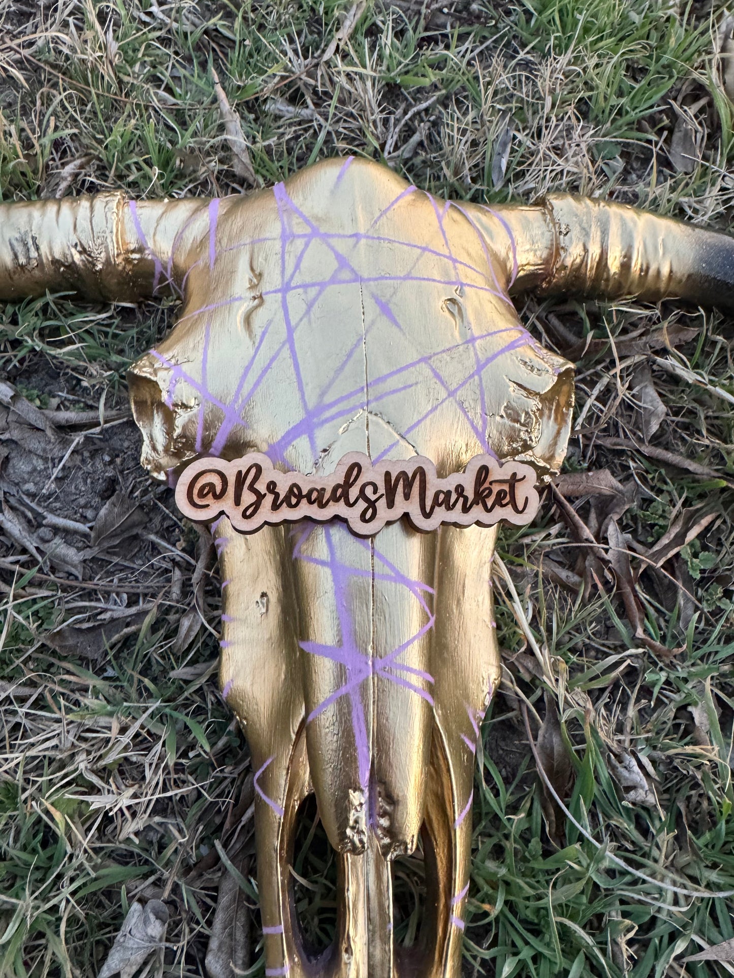 Gexa Pink Webbed Cowskull