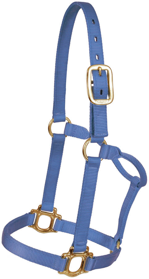 Traditional Nylon Halter - BLUE