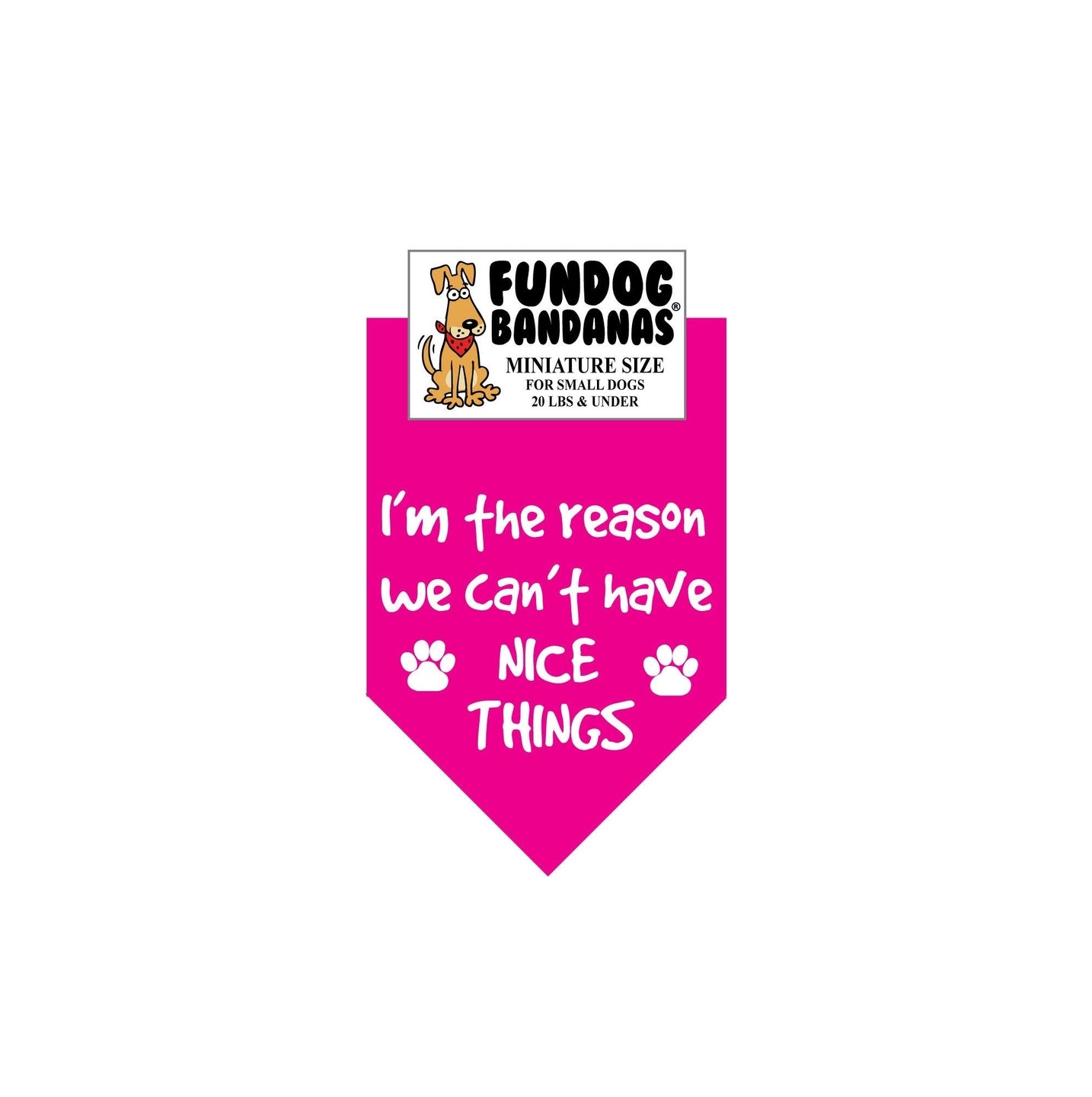 I'M the Reason We Can't Have Nice Things-Made in USA