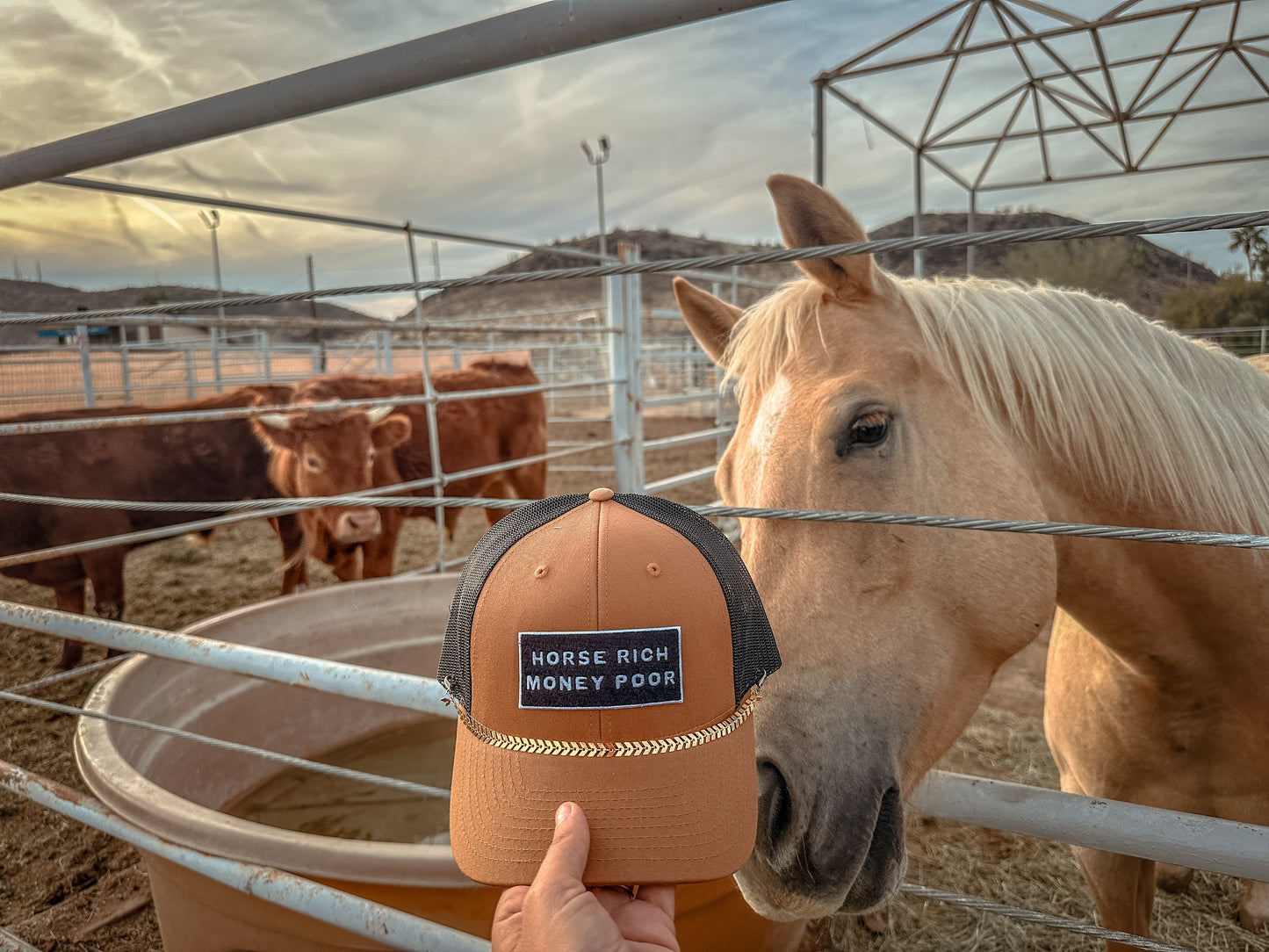 Horse Rich Hat