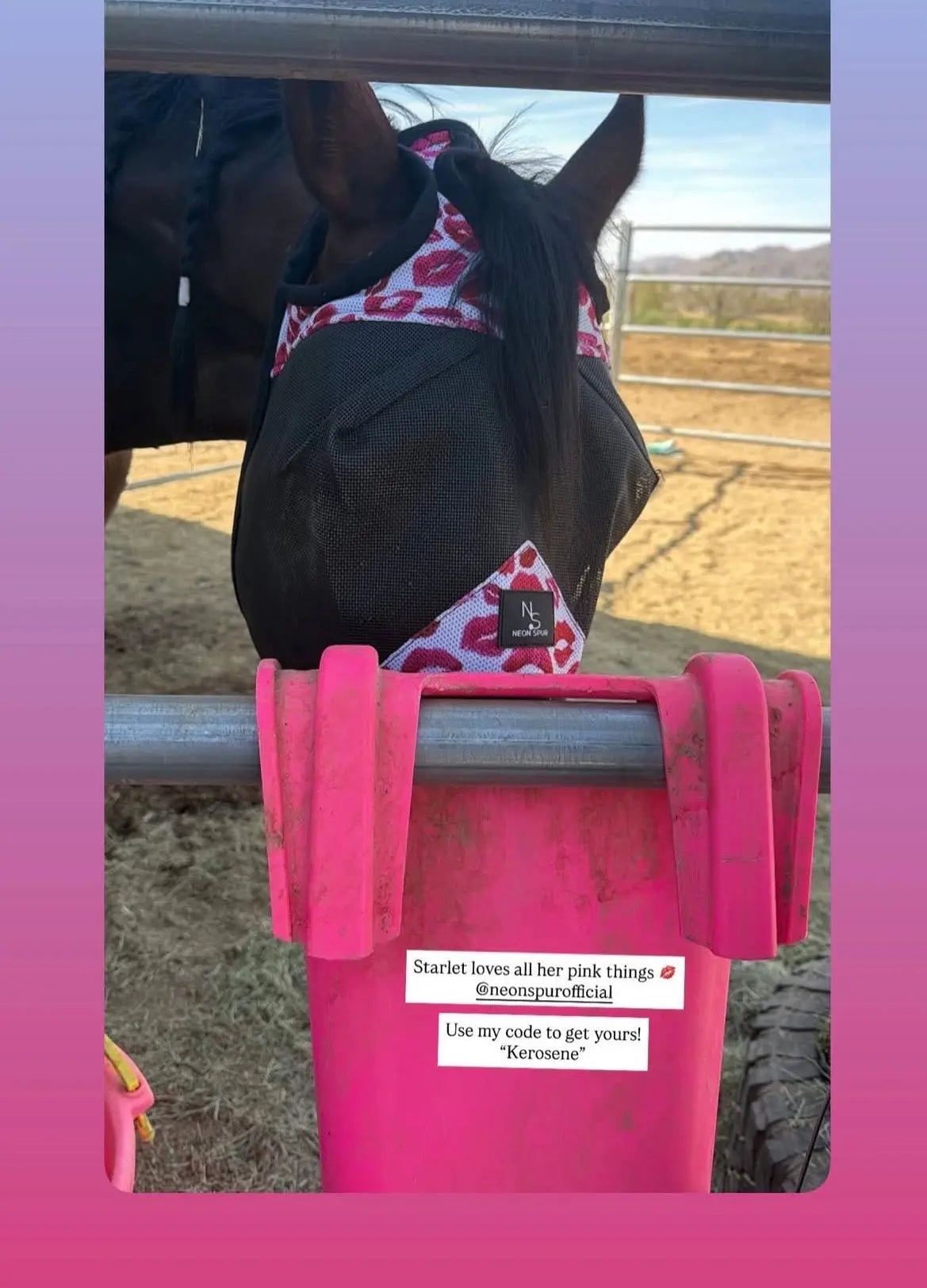 Smooch Horse Fly Mask -Black