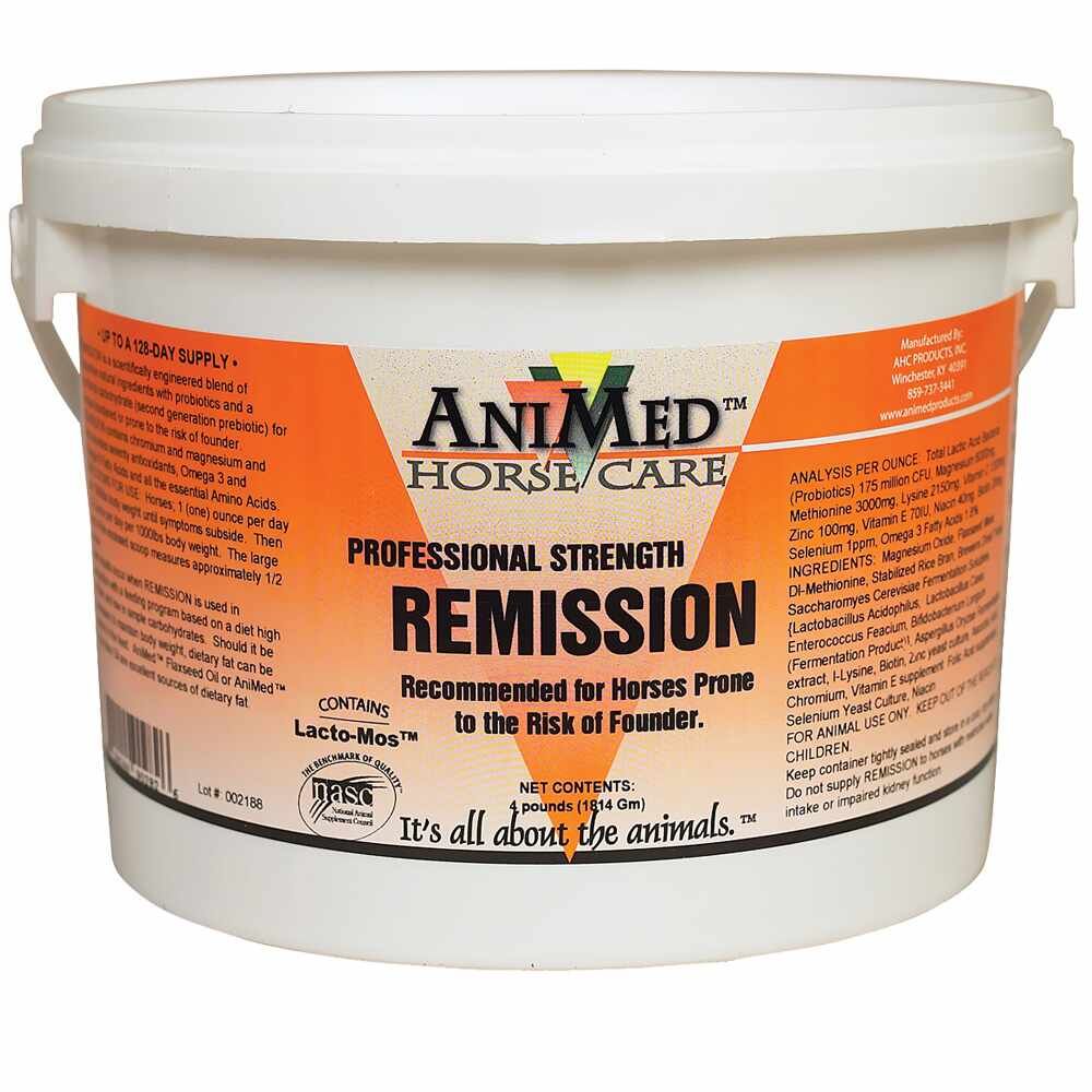 REMISSION 4# PAIL