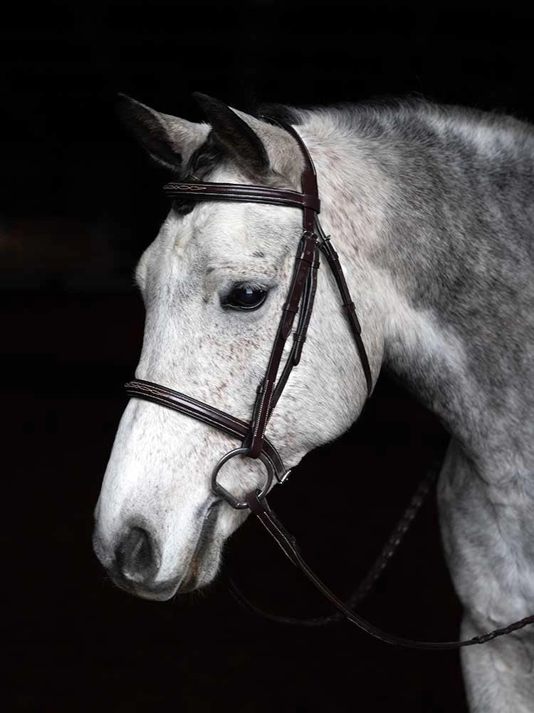 Arnold IV Square Raised Hunter Bridle