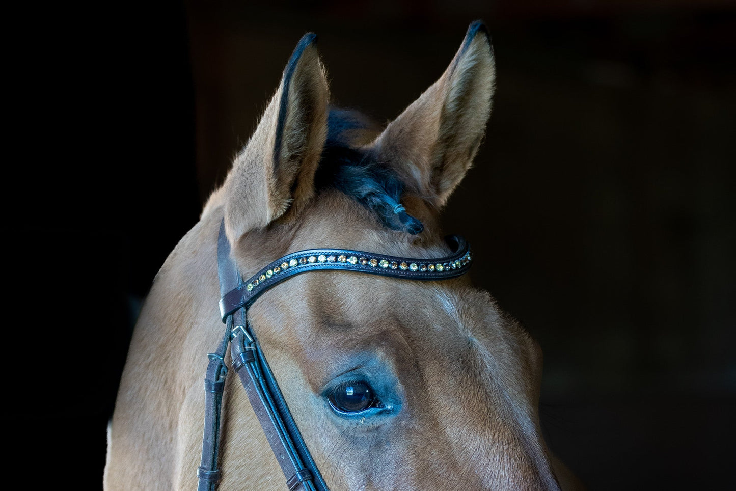 Autumn Flower Browband