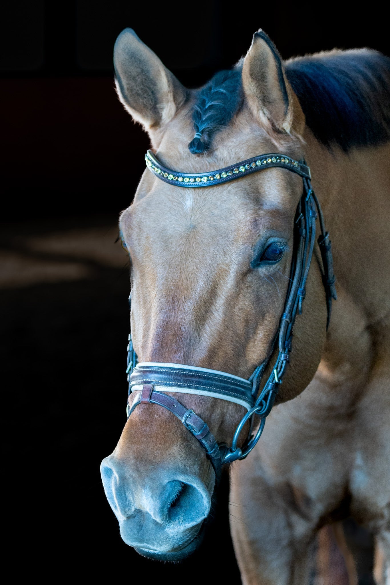 Autumn Flower Browband