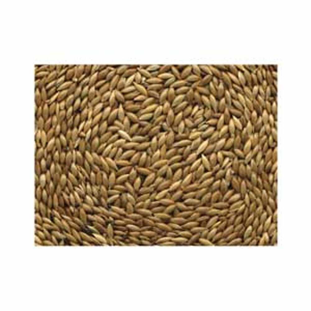CANARY SEED 50 LBS - ALPISTLE 50LB