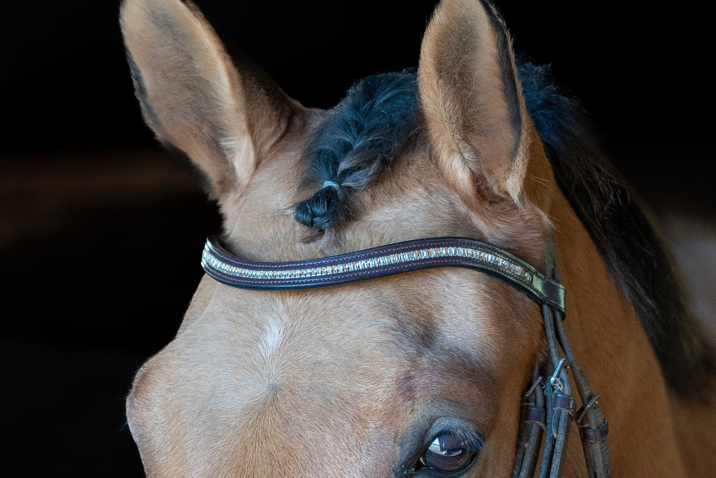 Baguette Beauty Browband