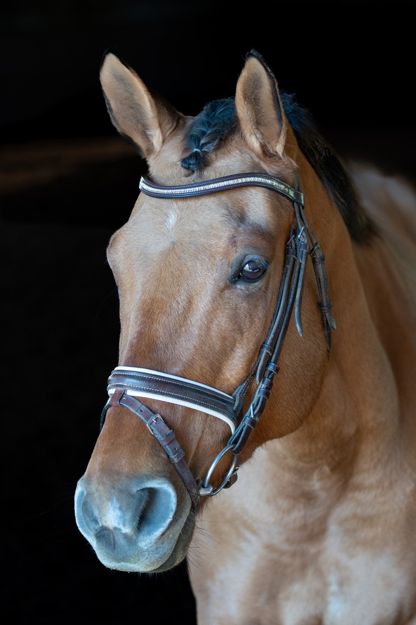 Baguette Beauty Browband