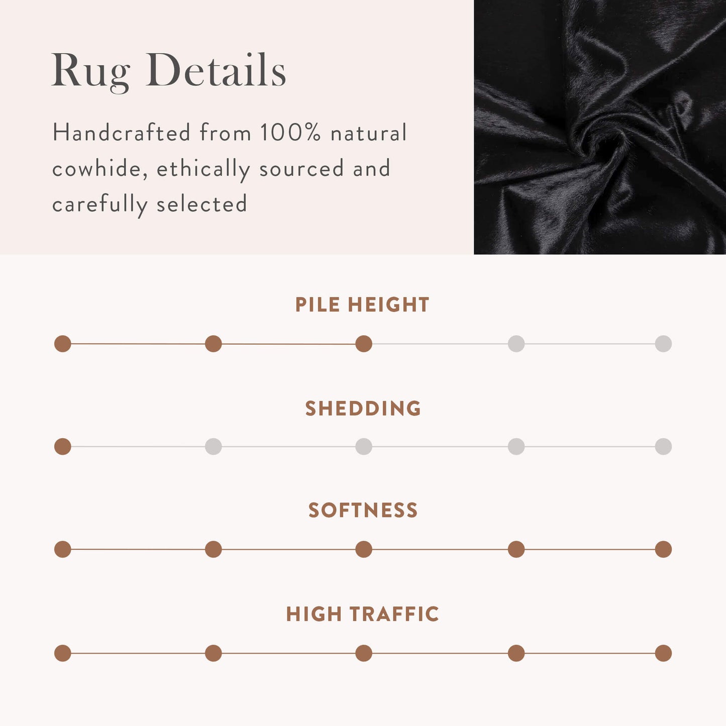Black Brazilian Cowhide Rug: LARGE