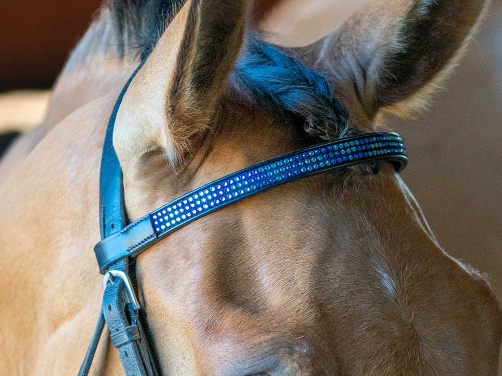 Blue Chevron Browband