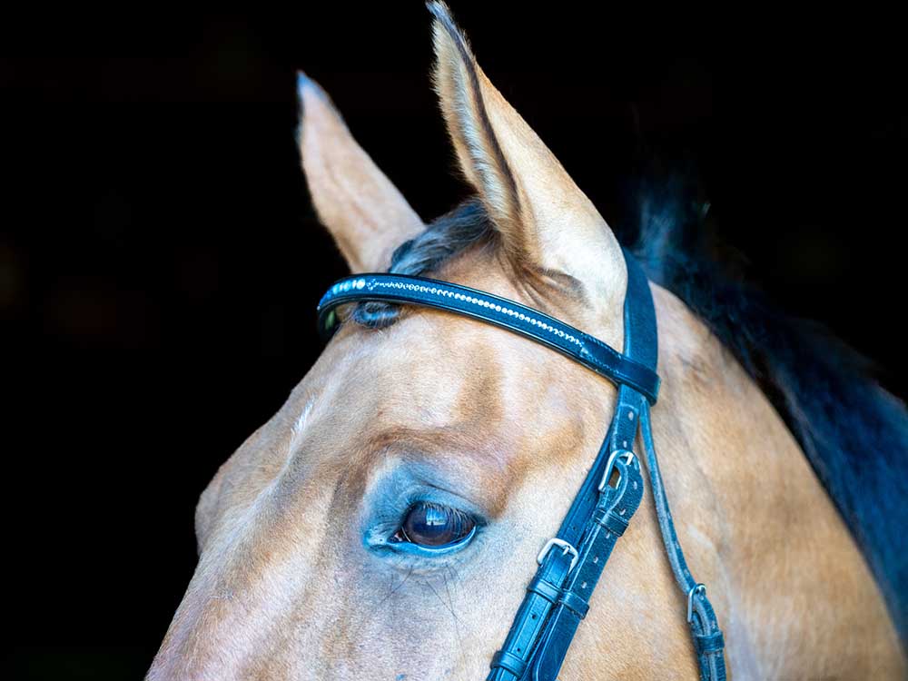 Blue Moon Tiara Browband