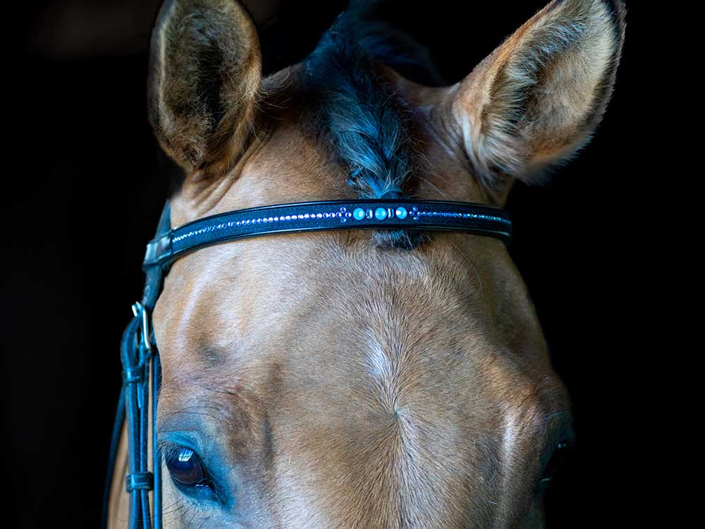 Blue Moon Tiara Browband