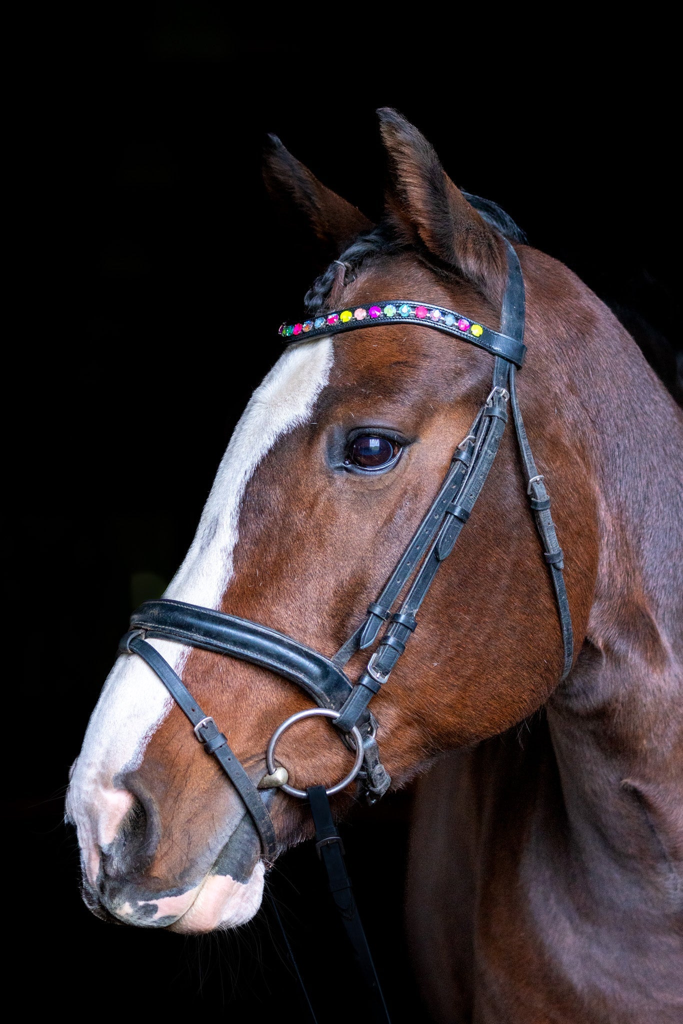 Neon Lights Browband
