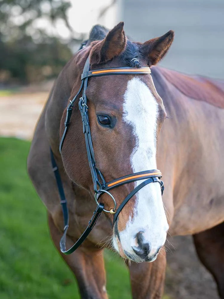 Broadmoor Monocrown Bridle with Accent Piping