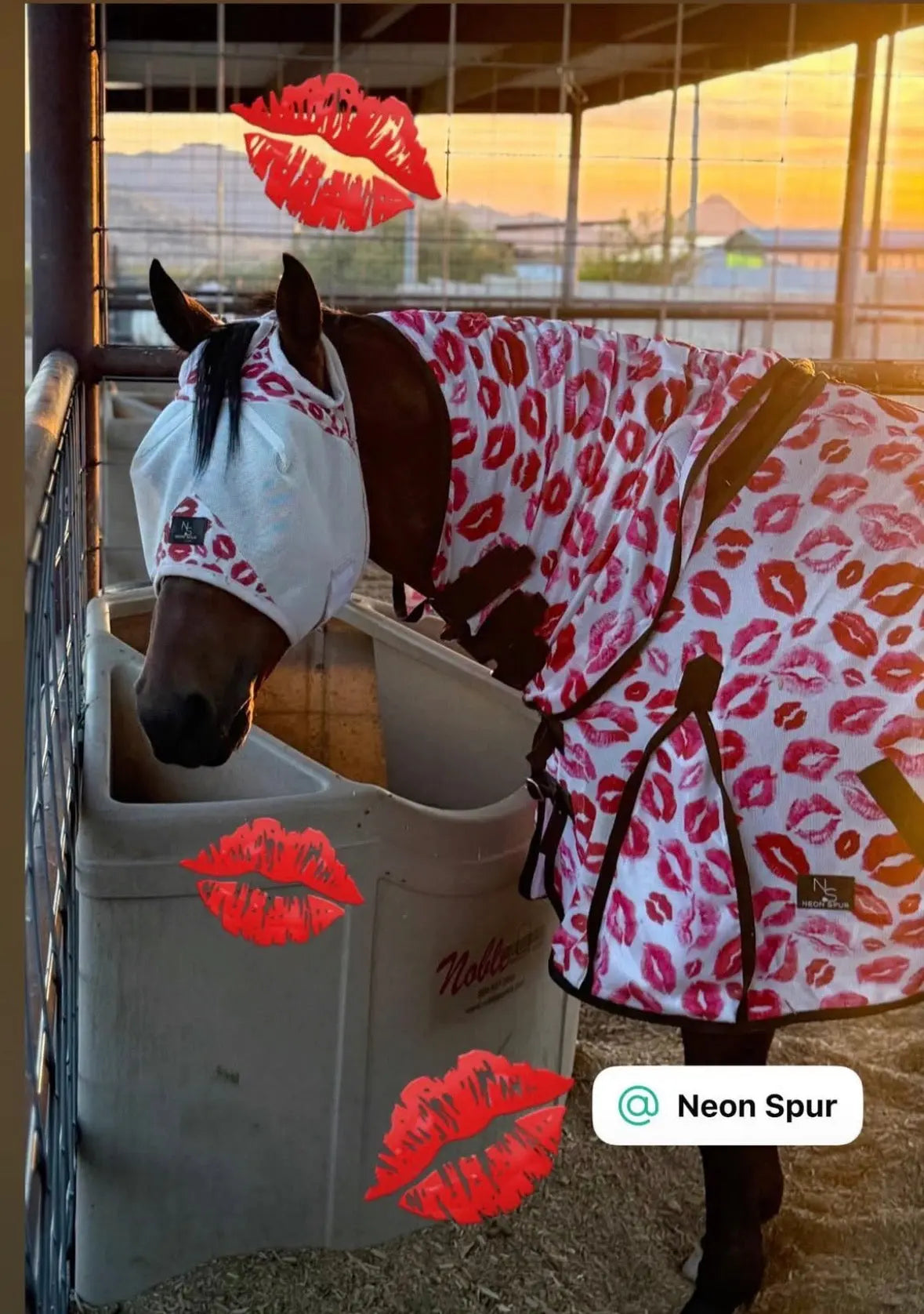 Smooch Horse Fly Mask -White