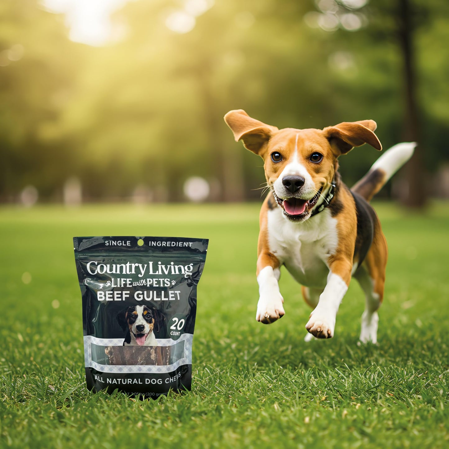 Country Living 6” Gullet Flats Dog Treats – 20 Count Bag – All-Natural Beef Esophagus Chews – High-Protein, Easily Digestible, Single-Ingredient Dog Treats – Grain-Free & Long-Lasting