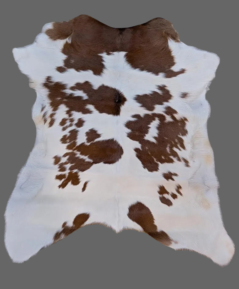 Calf Hide "Rider"