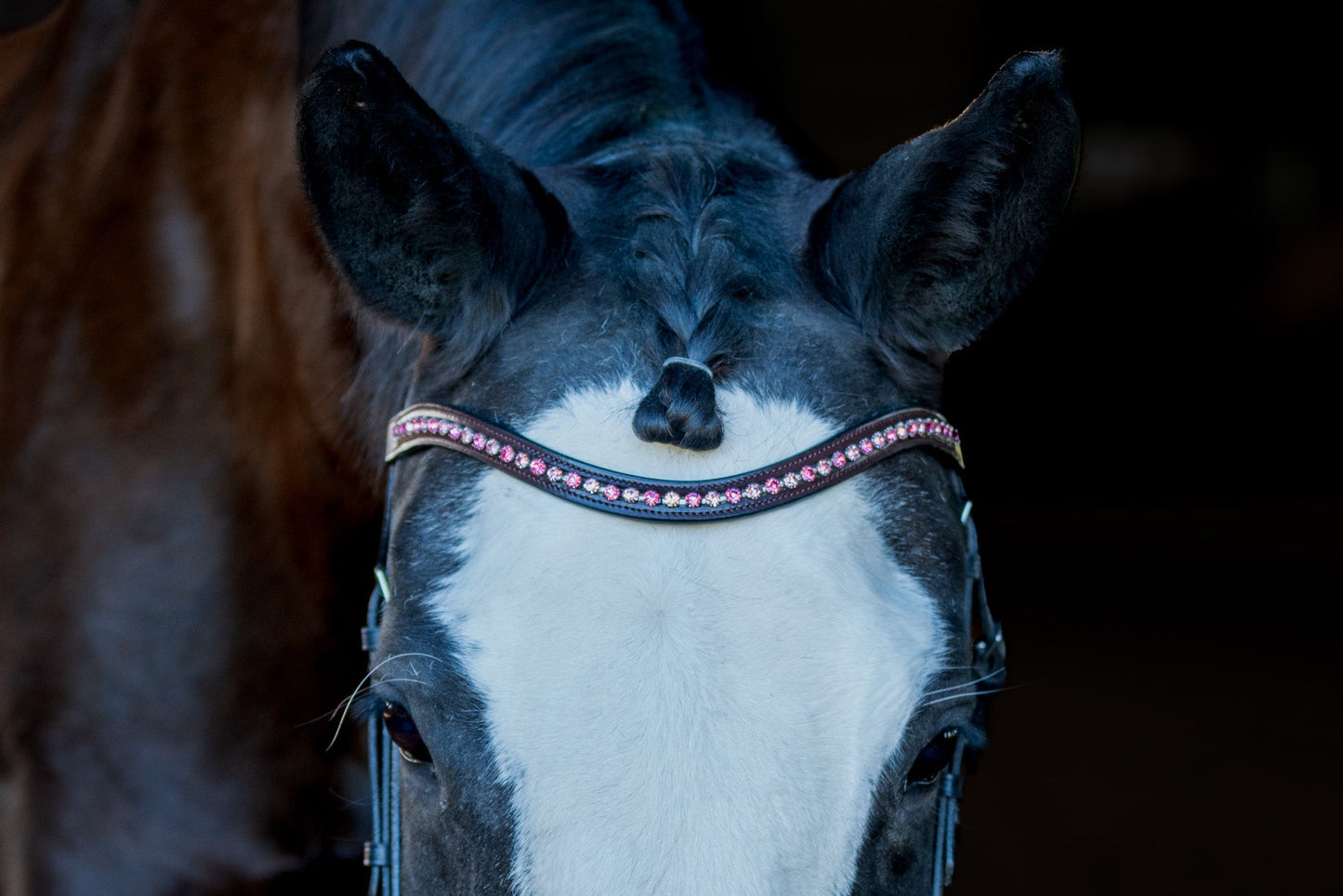 Cherry Blossom Browband