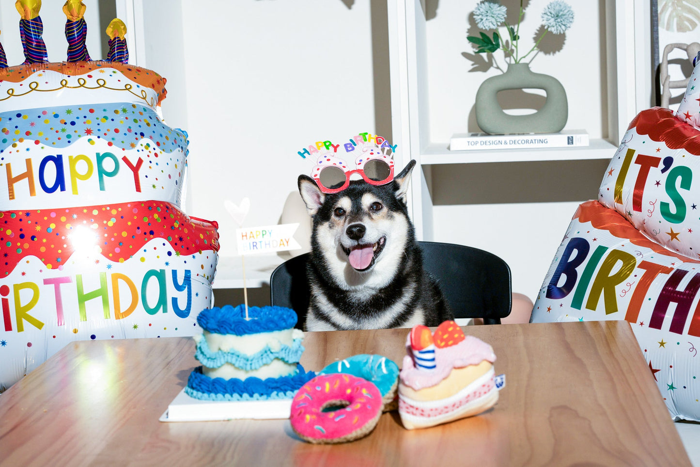 BIRTHDAY BONE