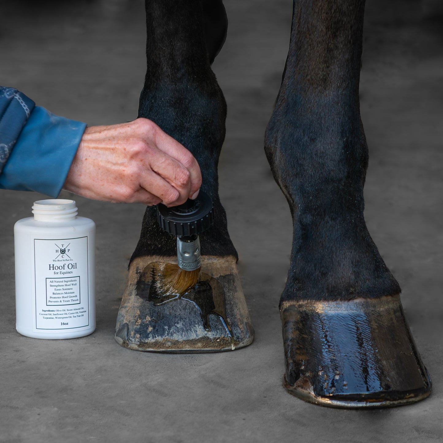 All Natural Hoof Oil - for Horses - 16oz