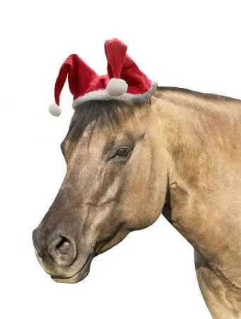 Horse Sized Santa Hat. Measures 12.5" x 18"