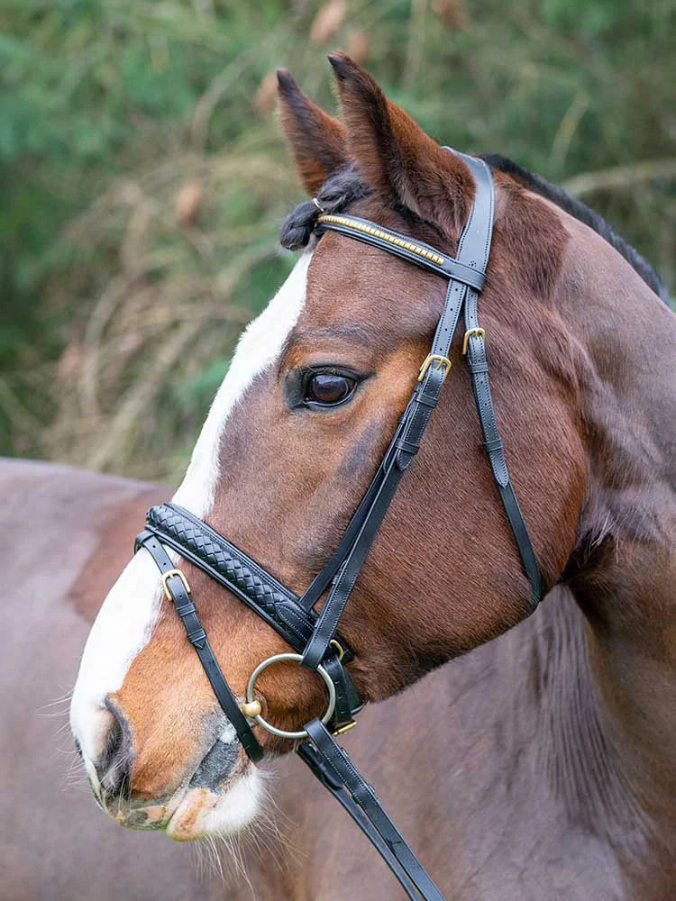 Danube Dressage Bridle with Clincher Browband