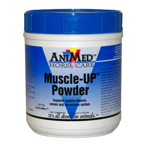 MUSCLE UP