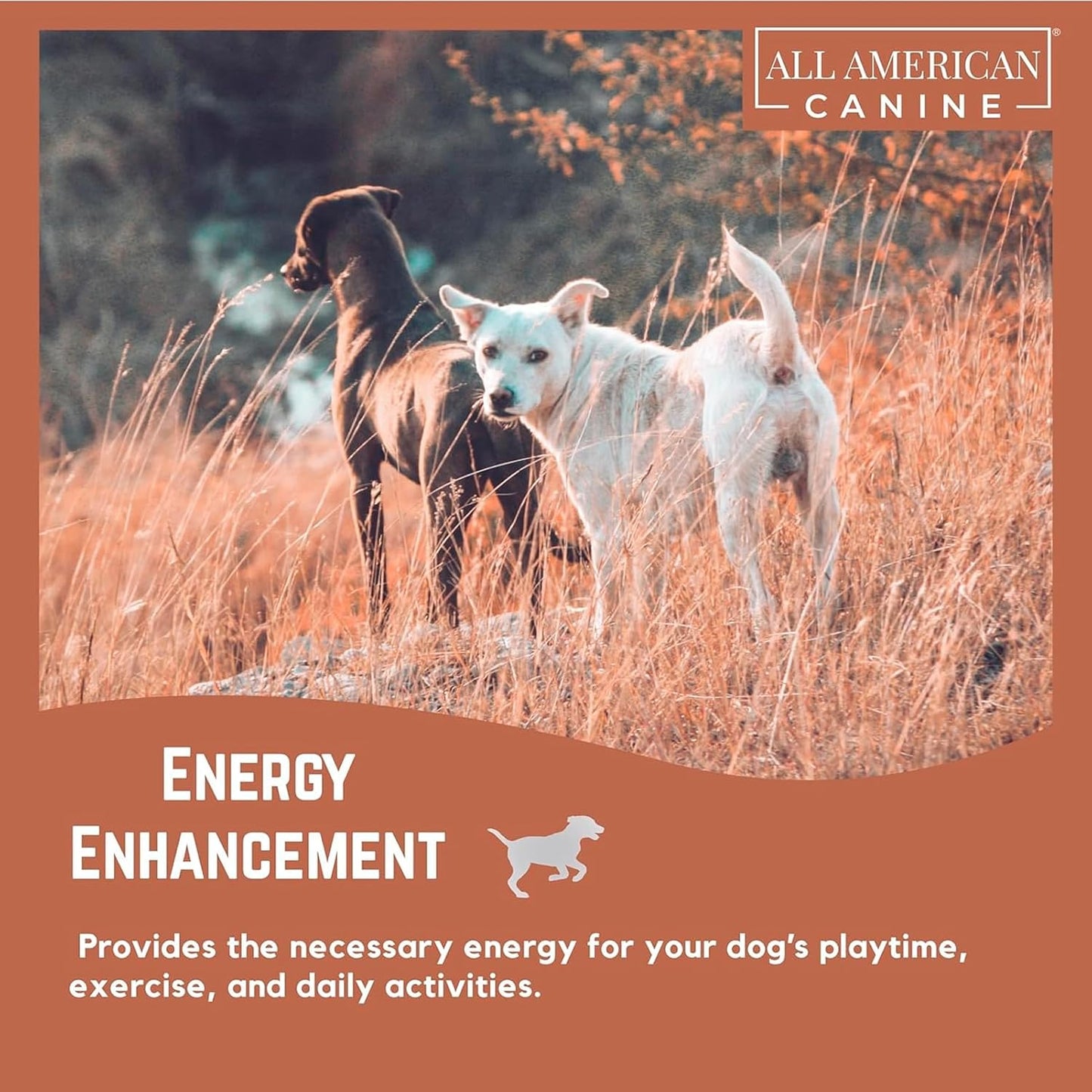 Liquid Weight Gainer 16 oz.