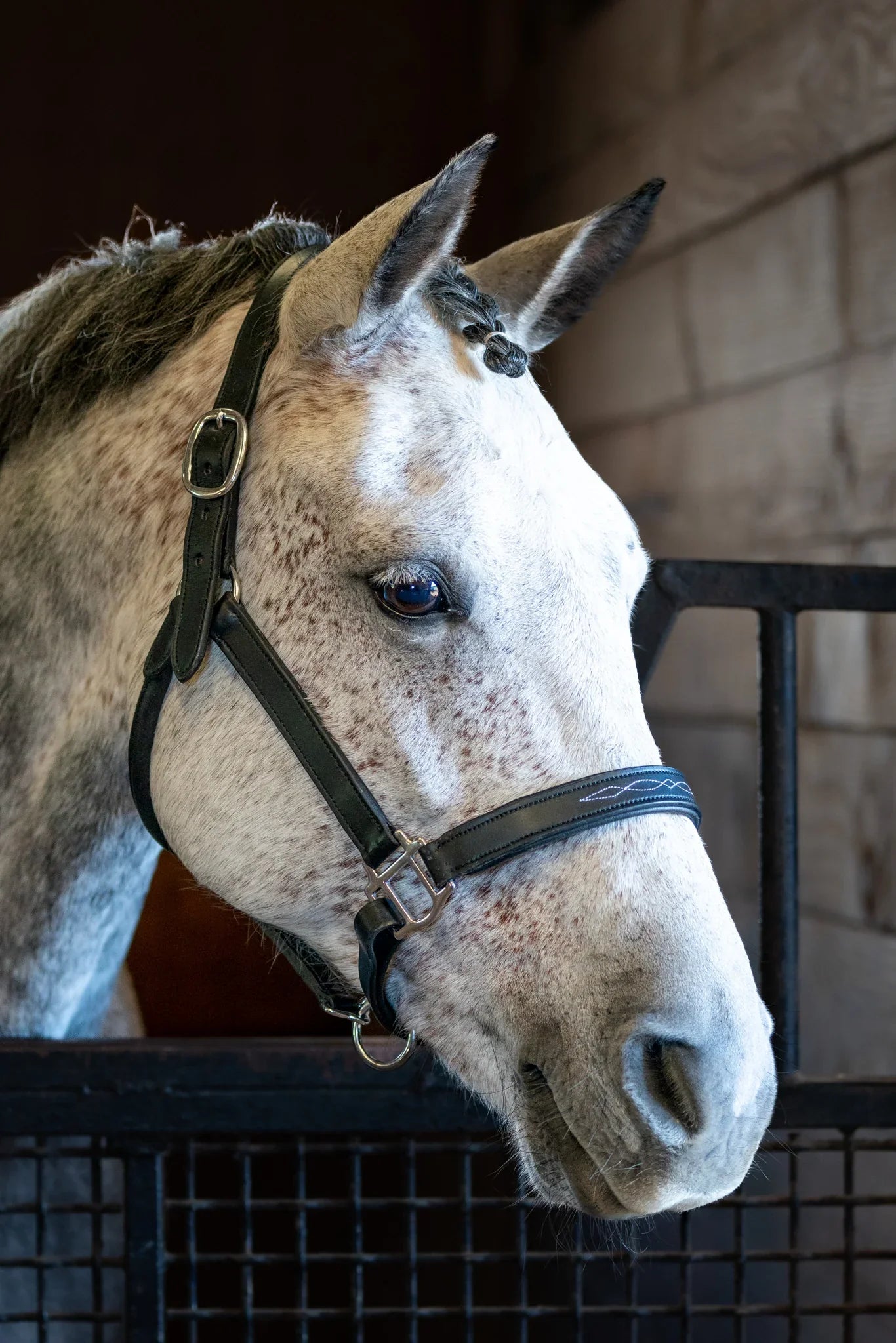 Eco Leather Padded Halter