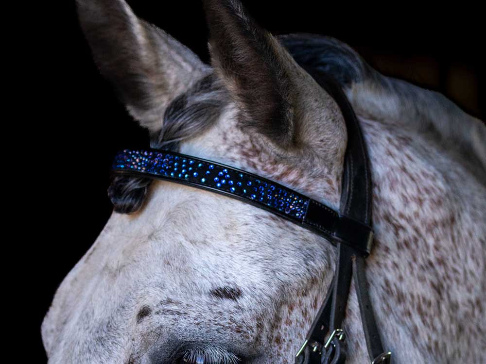 Cerulean Sparkles Browband