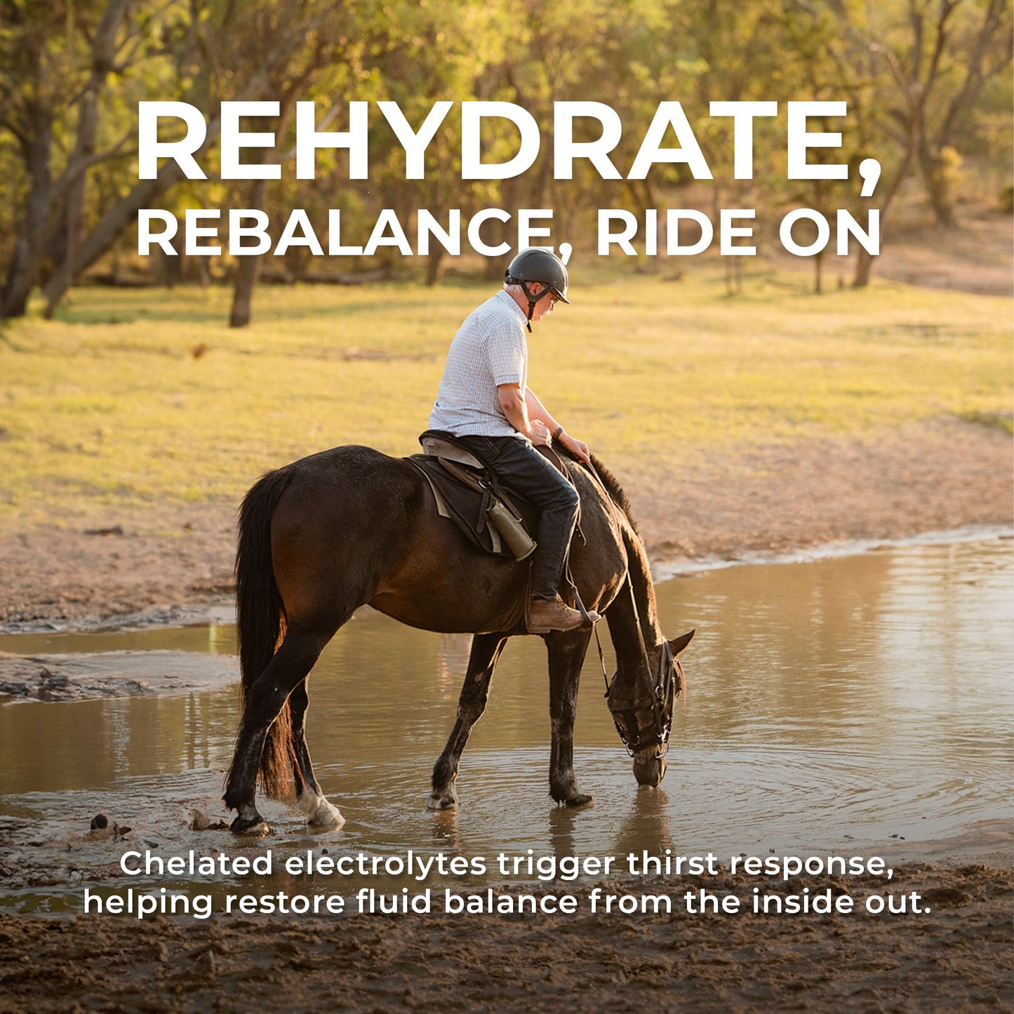 IsoBalance - Horse Electrolyte Paste