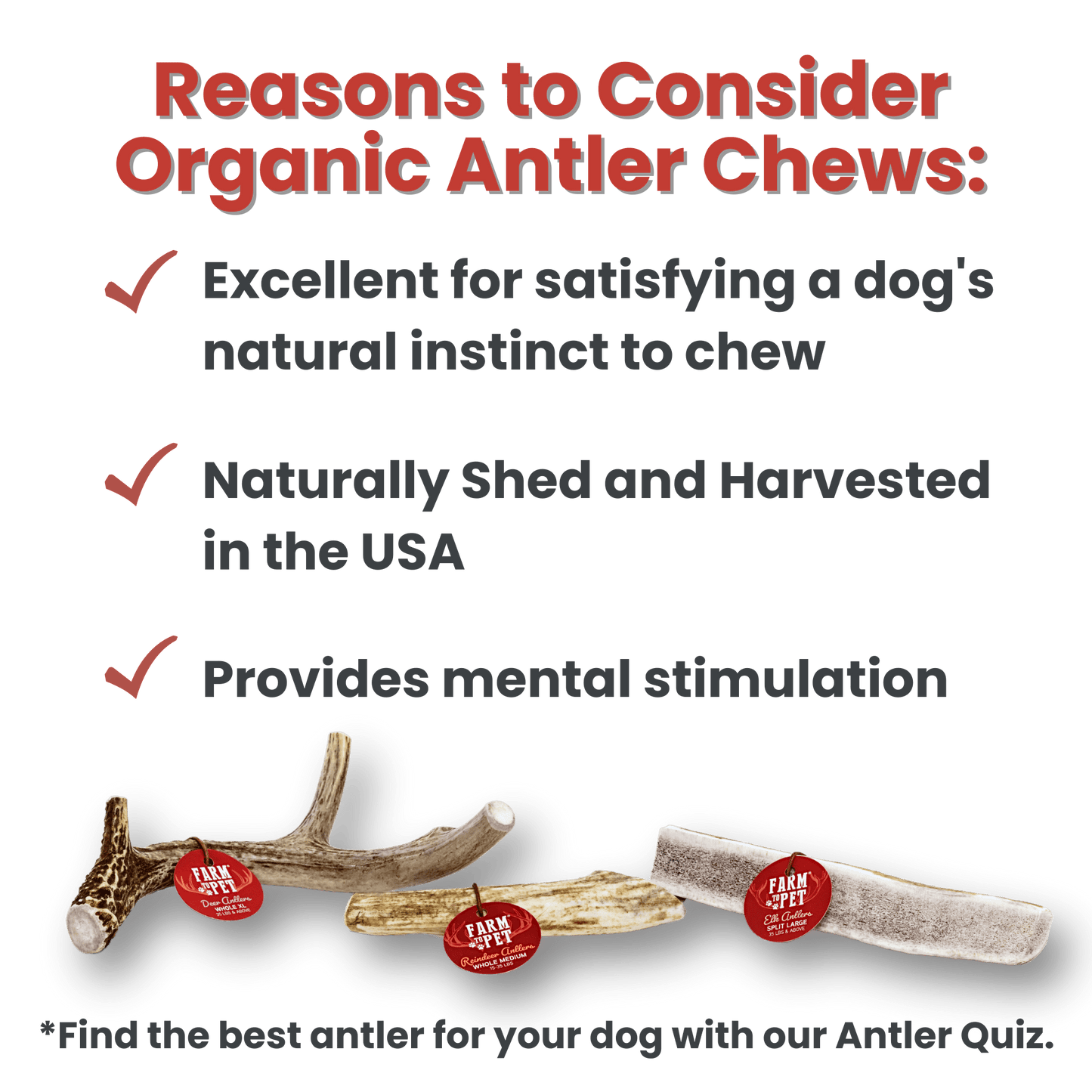Split Elk Antlers for Dogs | All-Natural Antler Dog Chews