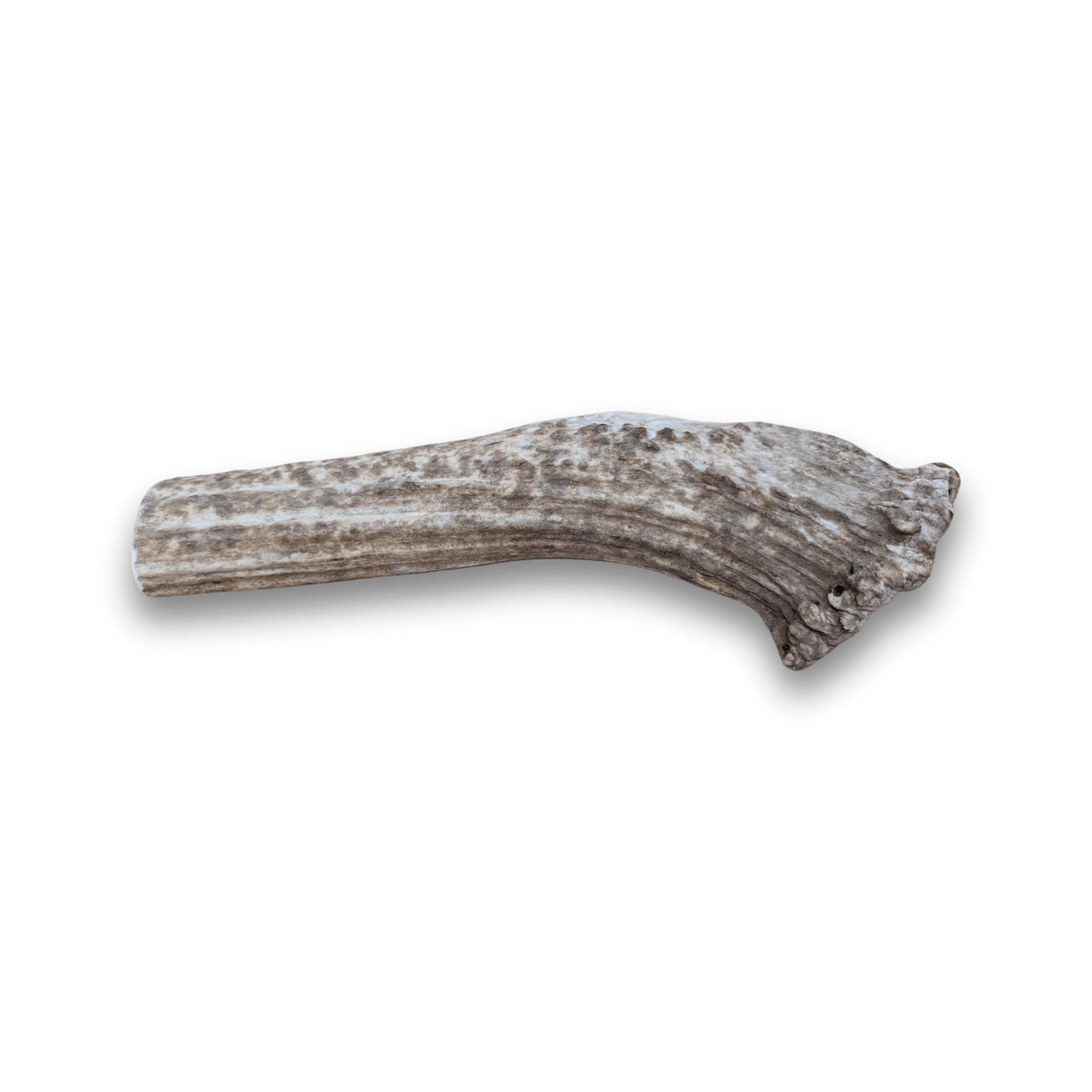 Split Elk Antlers for Dogs | All-Natural Antler Dog Chews