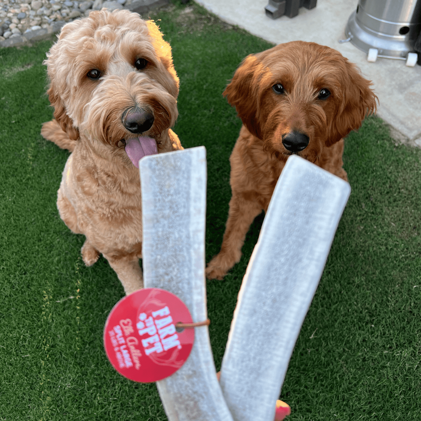 Split Elk Antlers for Dogs | All-Natural Antler Dog Chews