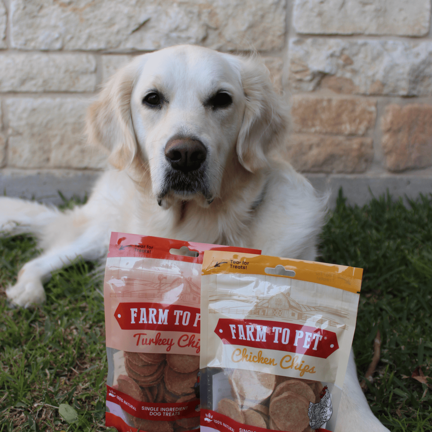 Turkey & Chicken Chip Dog Treat Duo | Single-Ingredient Poultry Treats for Dogs