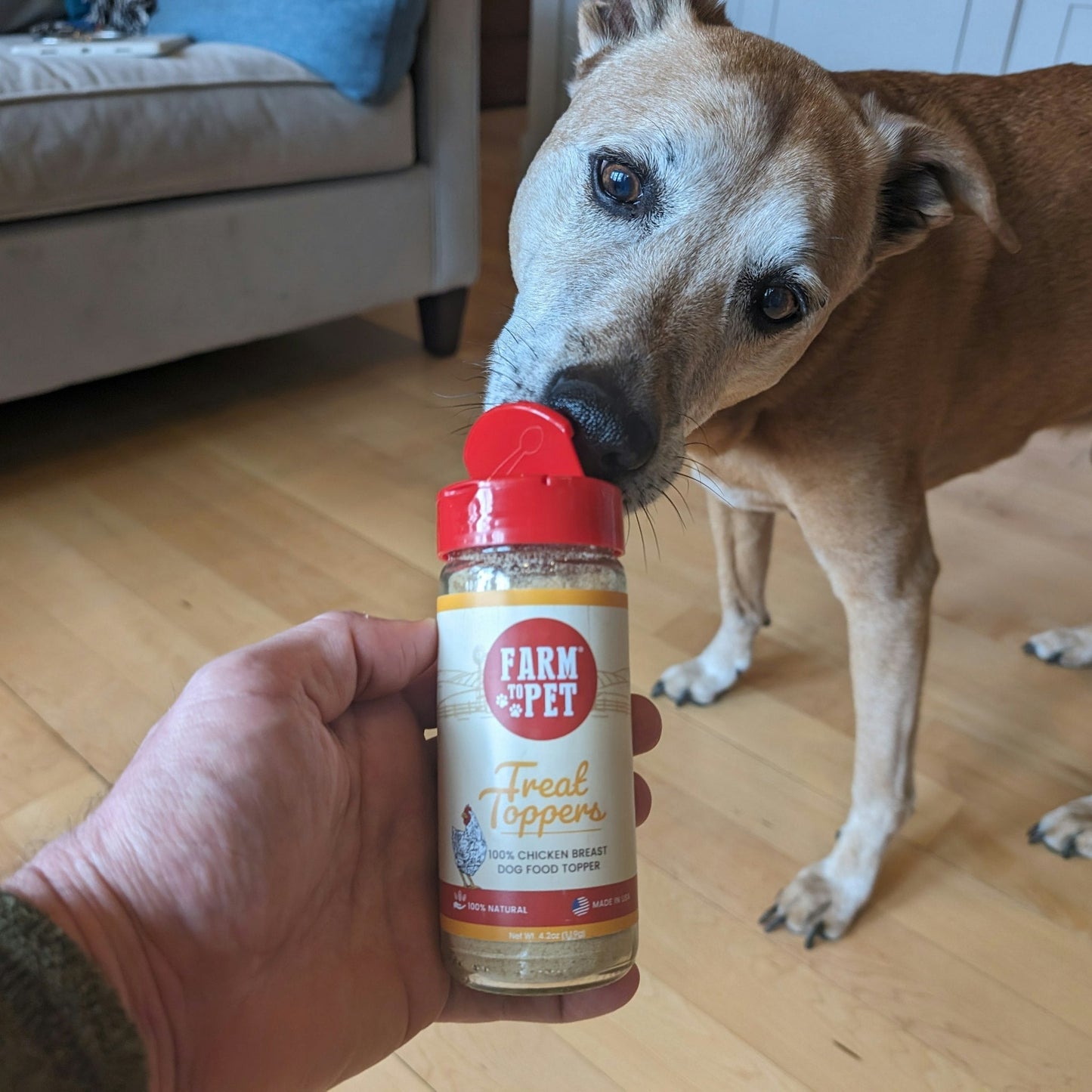 Treat Topper Chicken Dog Food Topper | Healthy Meal Supplement for Dogs