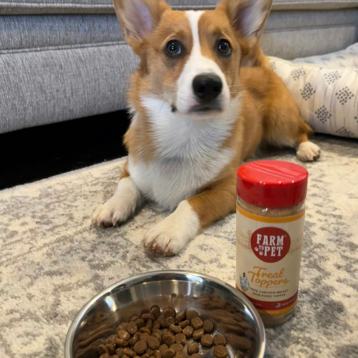Treat Topper Chicken Dog Food Topper | Healthy Meal Supplement for Dogs