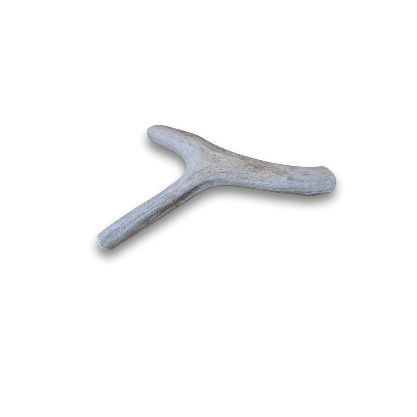 Deer Antler Dog Chews | Organic Antler Chews