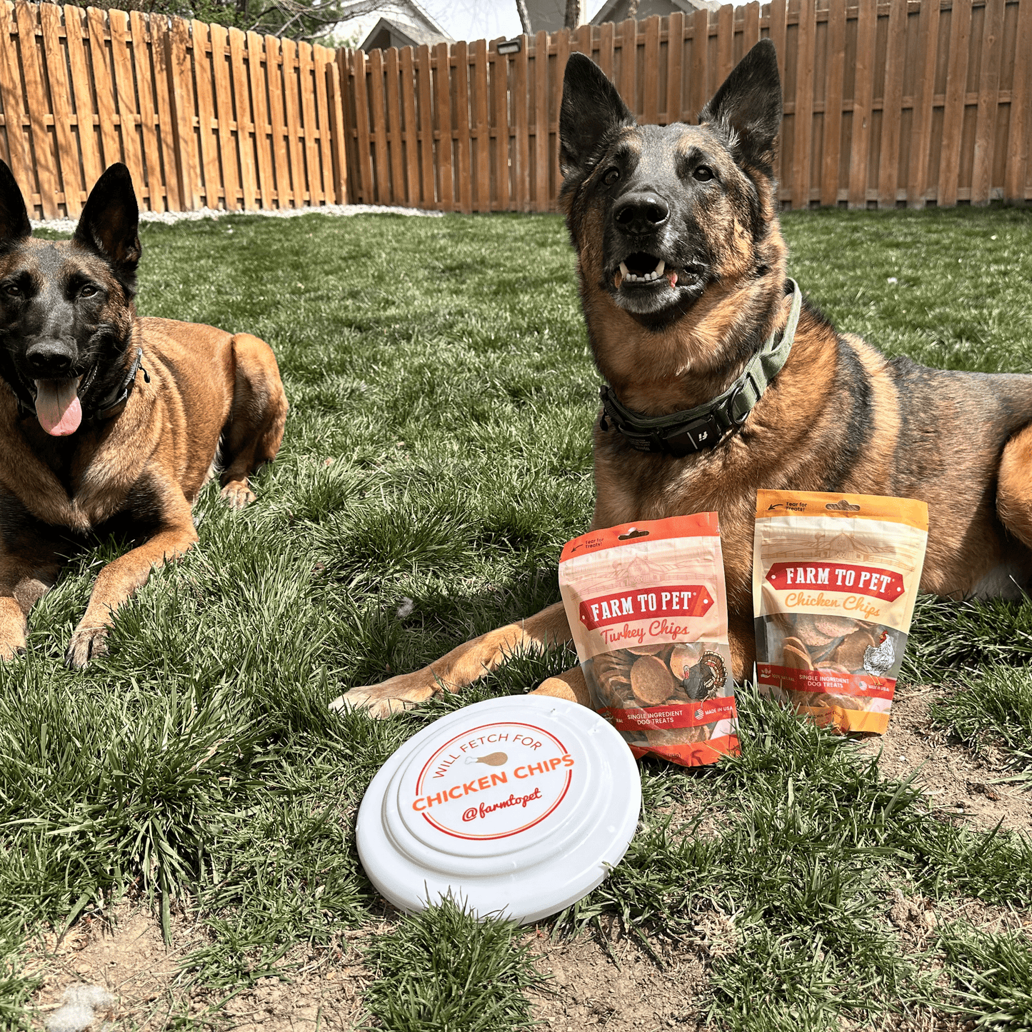 Turkey & Chicken Chip Dog Treat Duo | Single-Ingredient Poultry Treats for Dogs