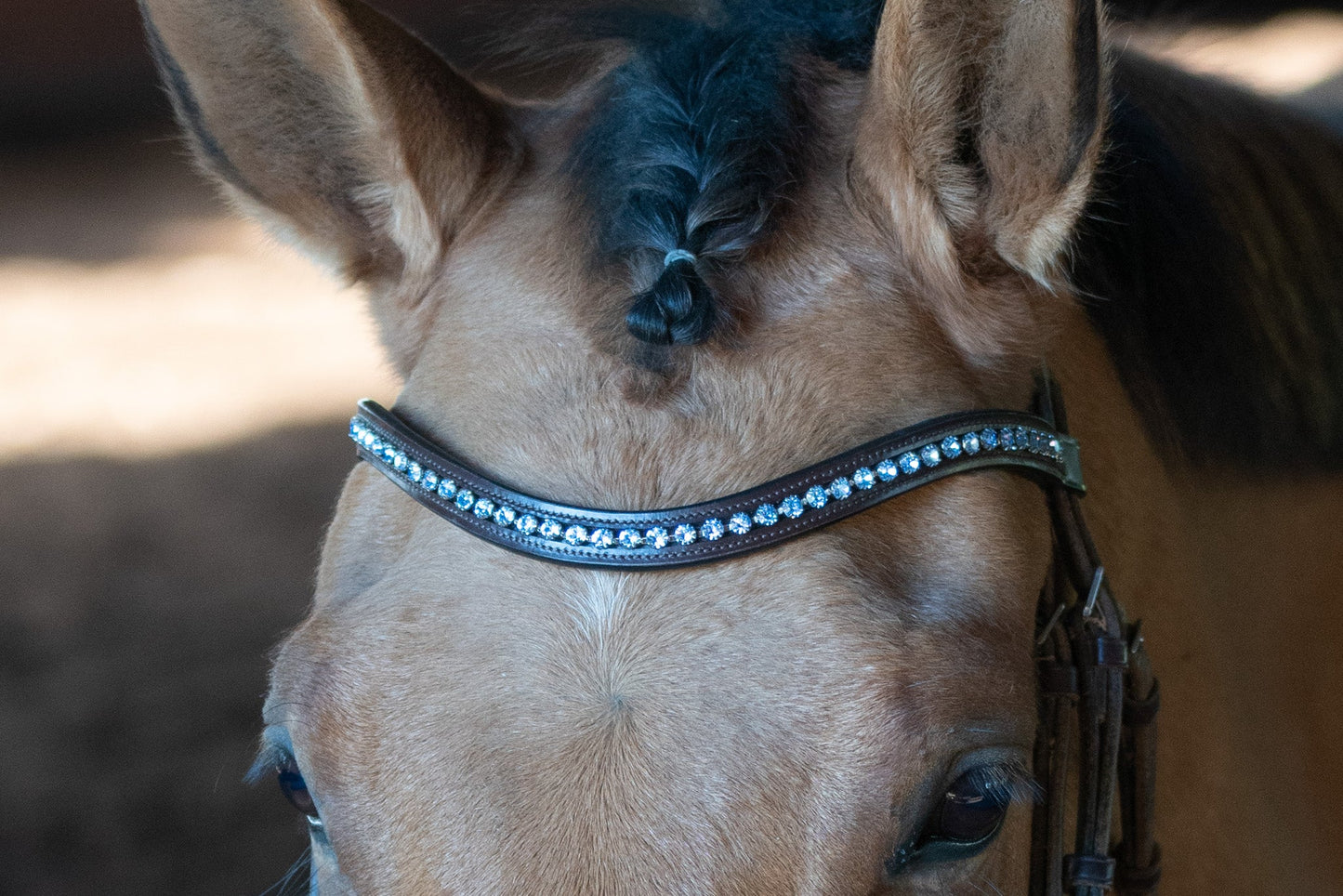 Frozen Browband