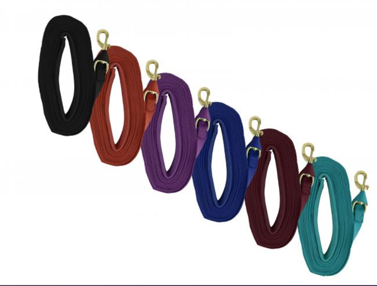 Heavy Duty 25' Web lunge line with padded handle. Replaceable brass snap and loop end
Product ID: 522045X