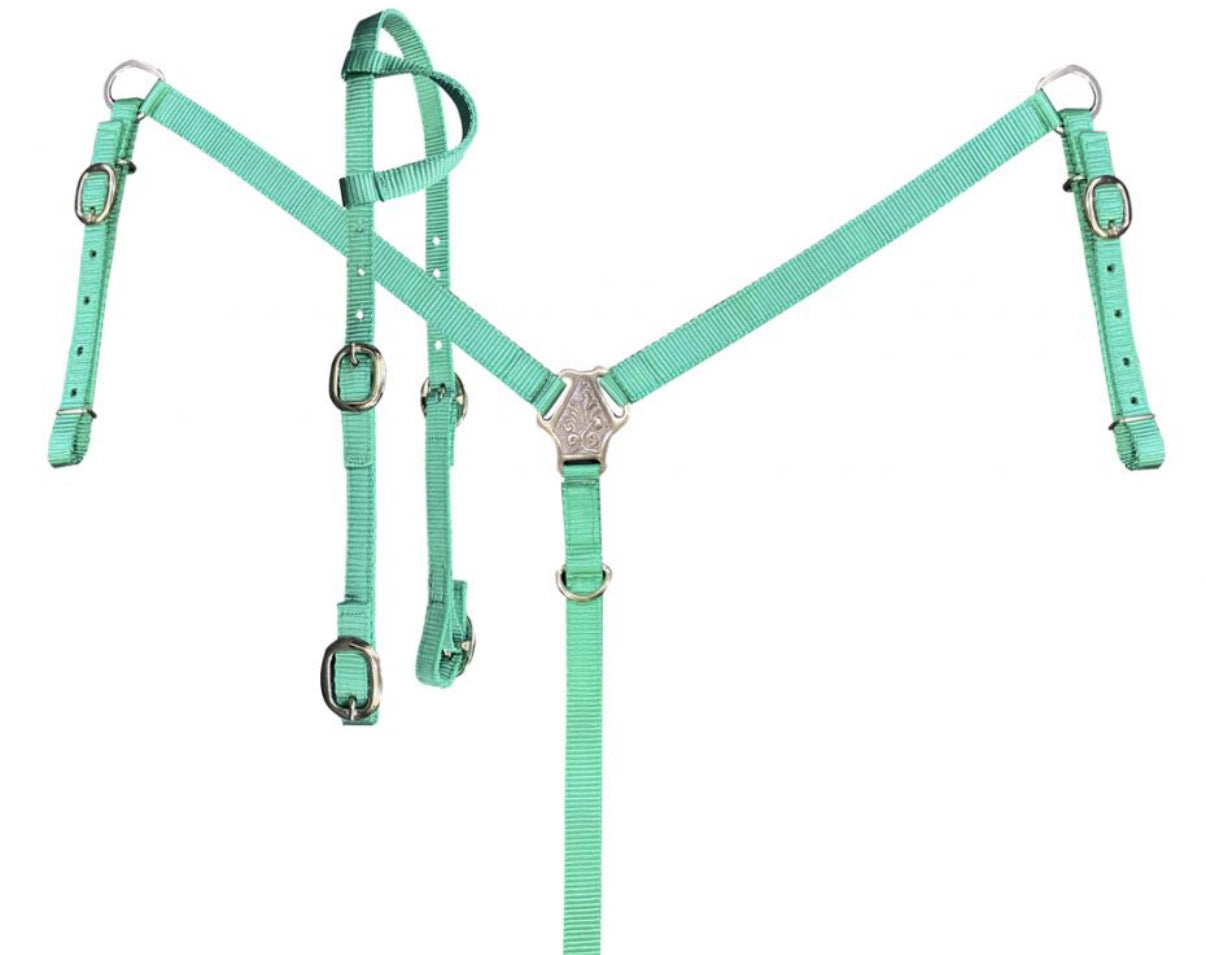 Showman Nylon One ear Headstall and Breast collar set