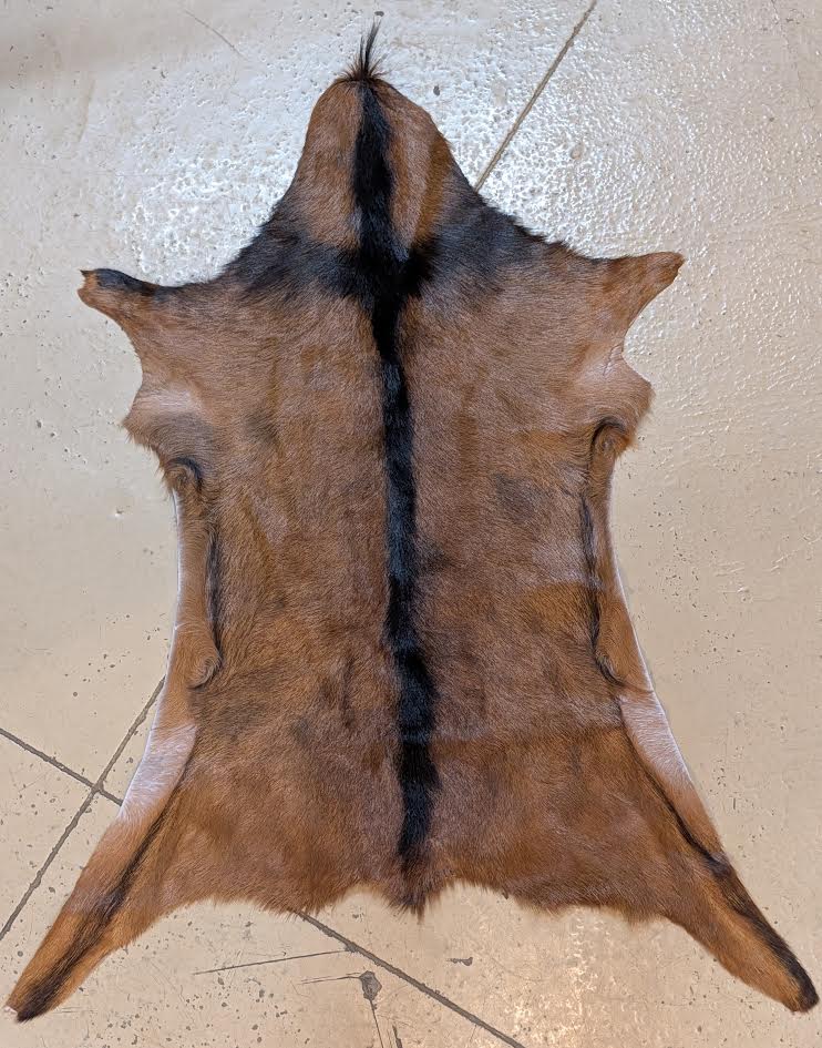 Goat Hide "Red Cross"