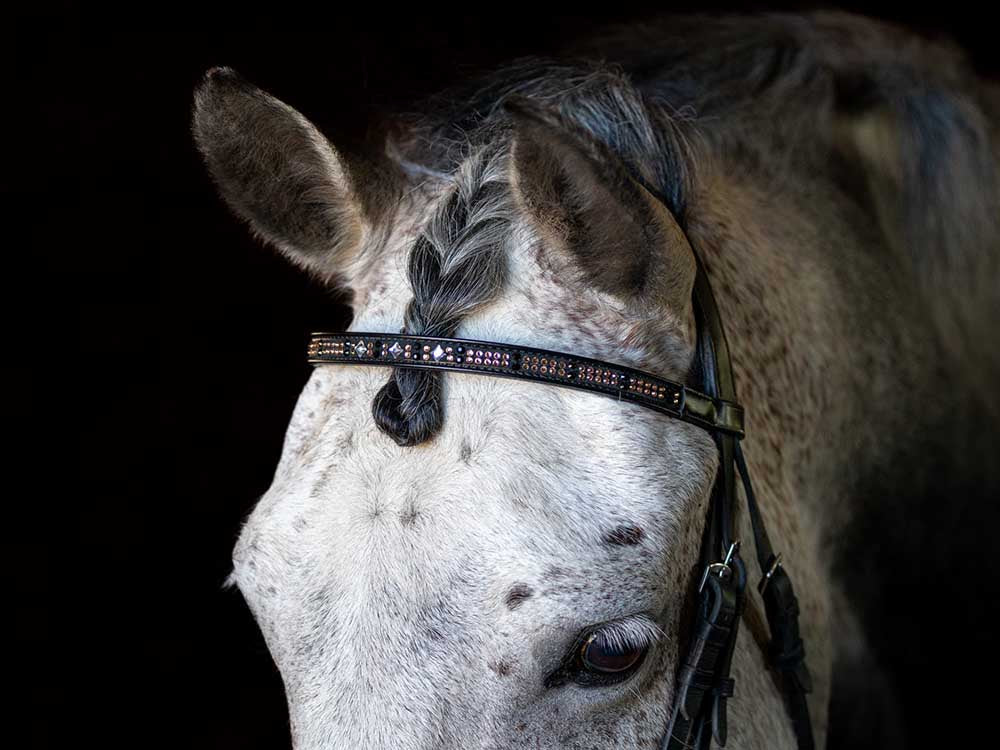 Glistening Copper Browband