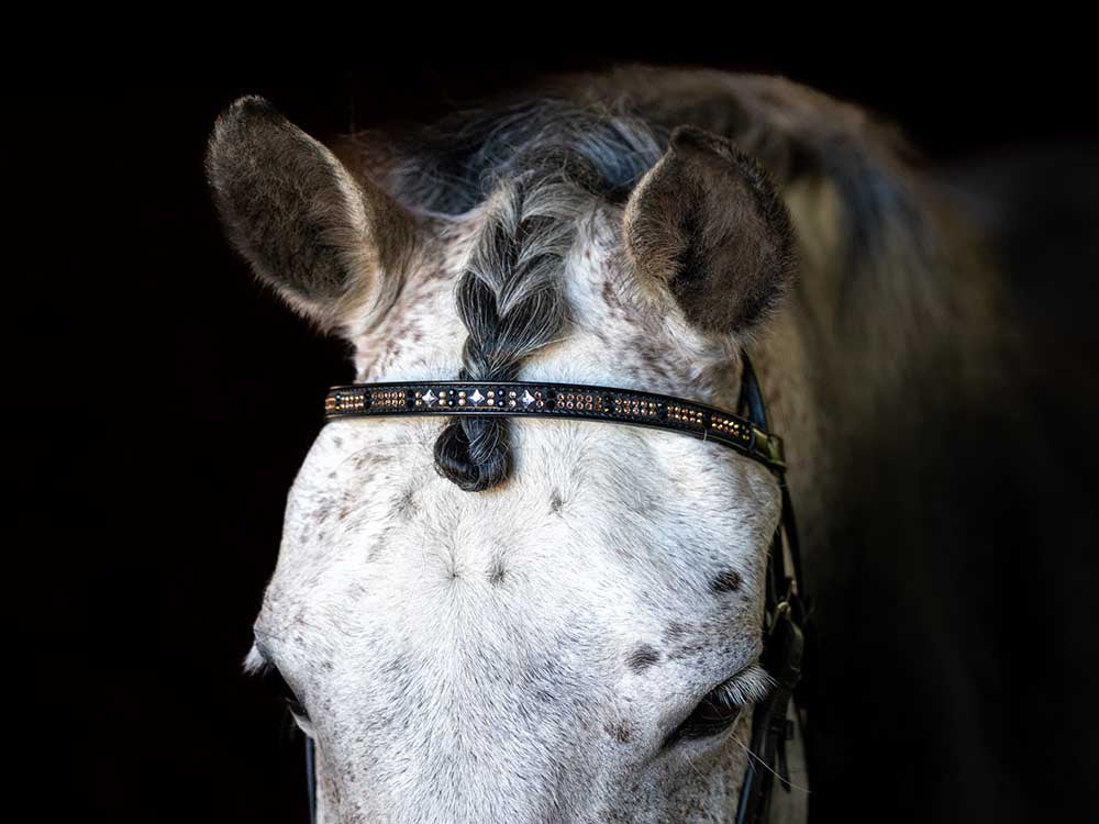 Glistening Copper Browband