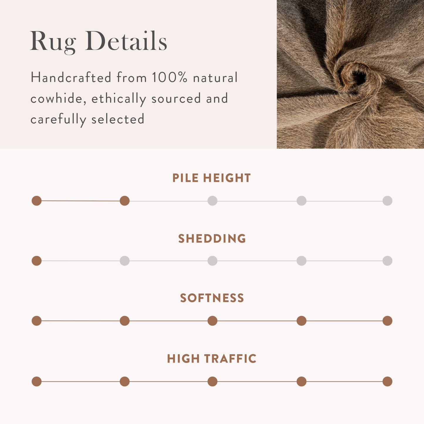 Grey Palomino Brazilian Cowhide Rug: XL