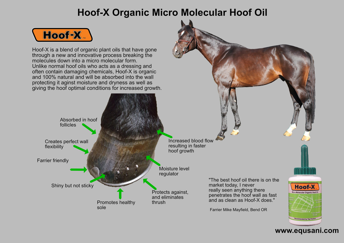 Hoof-X – All-Natural Hoof Oil for Healthy Hoof Care