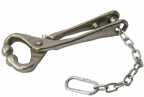 Ideal Instruments: Bull Leader W/Chain