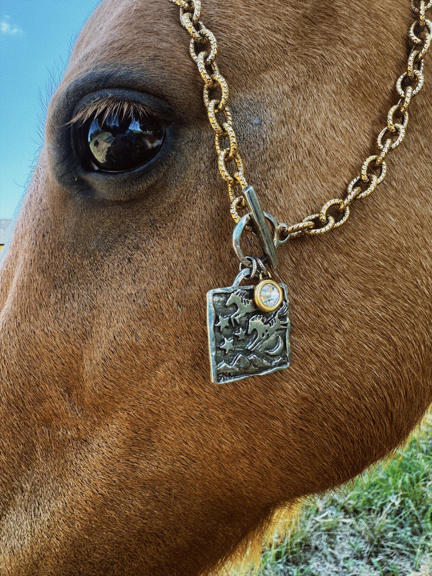 The Painted Pony Necklace 9/15