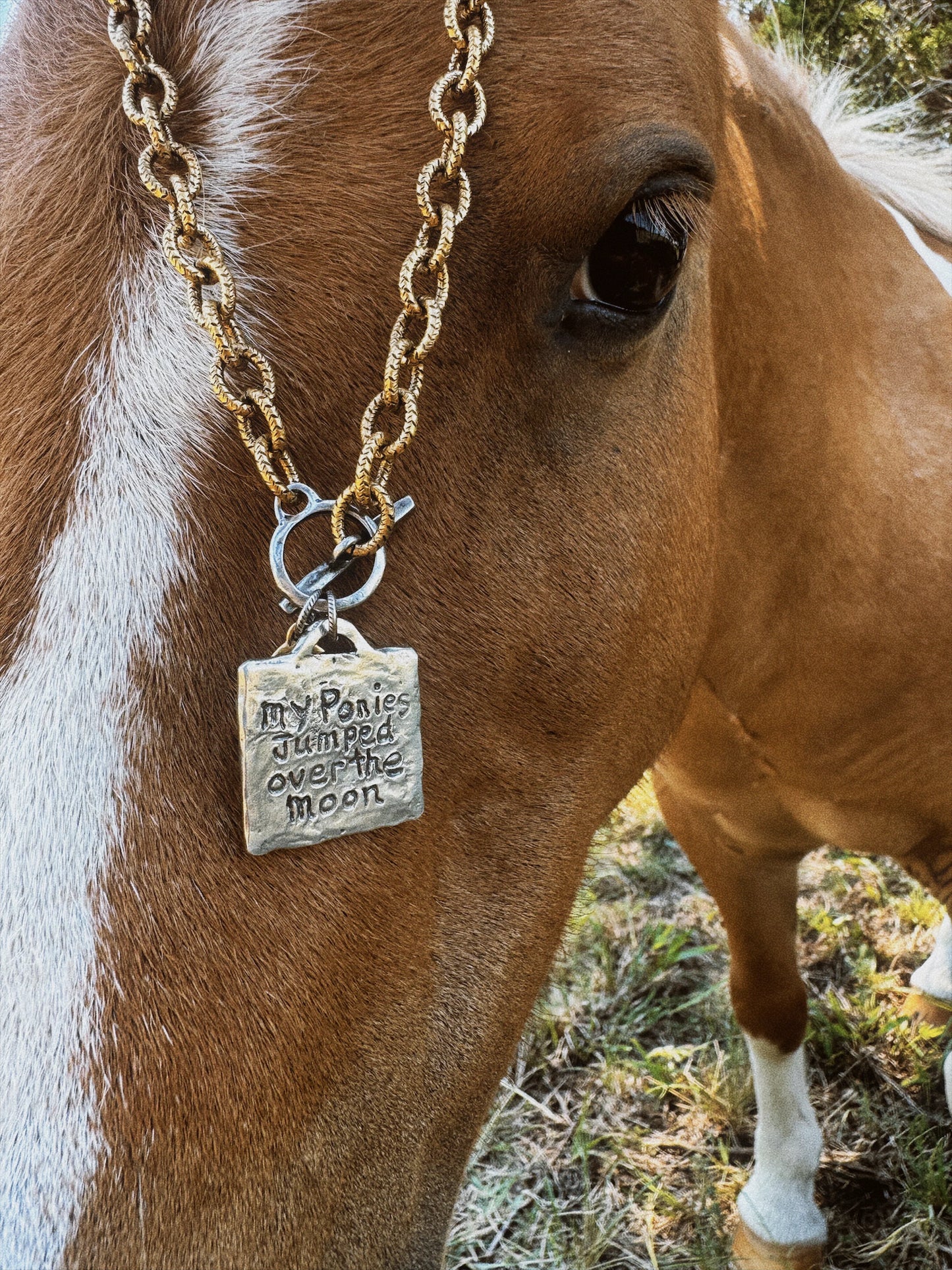 The Painted Pony Necklace 9/15